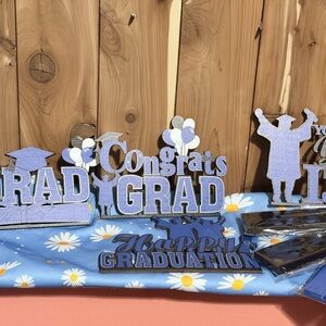 Graduation Party Supplies Set - Blue and Silver